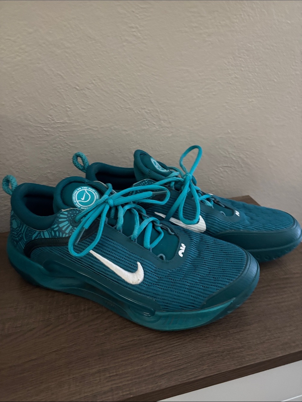 NikeCourt Zoom NXT HC in Geode Teal Mens 11